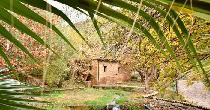 Su Değirmen parkında sonbahar!