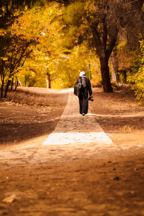 Dulkadiroğlu ilçesinde sonbahar manzaraları