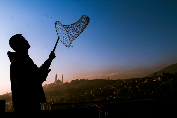 Dulkadiroğlu ilçesinde sonbahar manzaraları