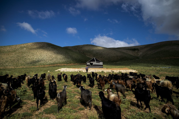 Dulkadiroğlu ilçesinde sonbahar manzaraları