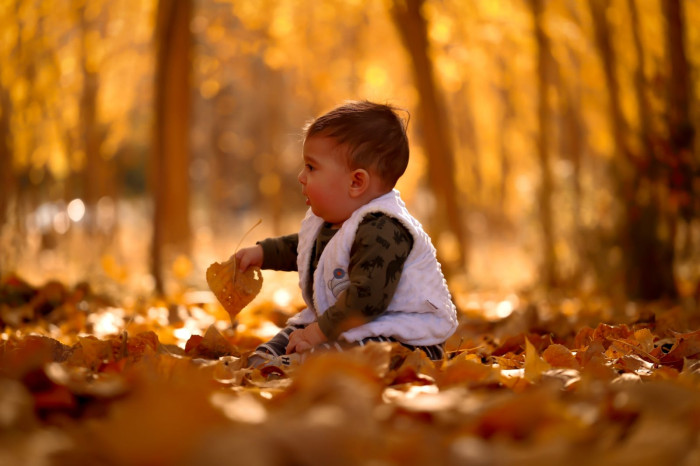 Dulkadiroğlu ilçesinde sonbahar manzaraları
