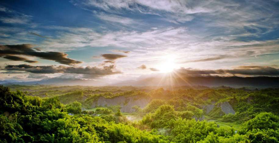 Hayata dair altın bilgiler! Duyunca şaşıracaksınız! 