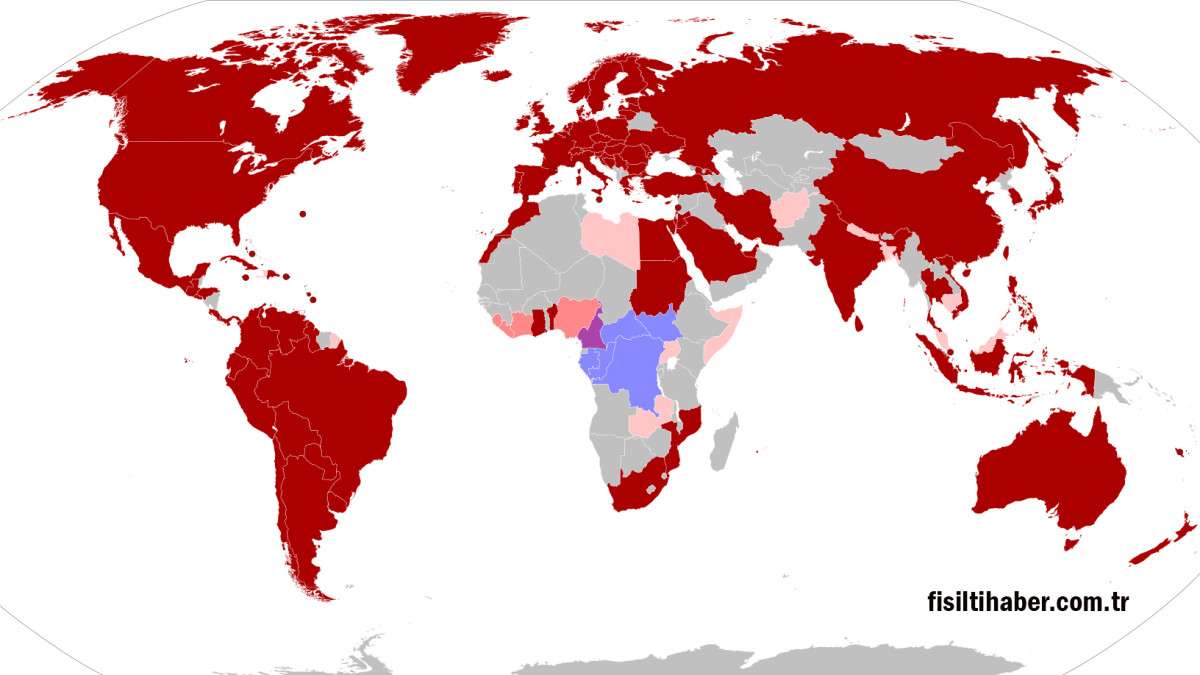 Maymun çiçeği virüsünün tedavisi var mı? Maymun çiçeği öldürür mü?