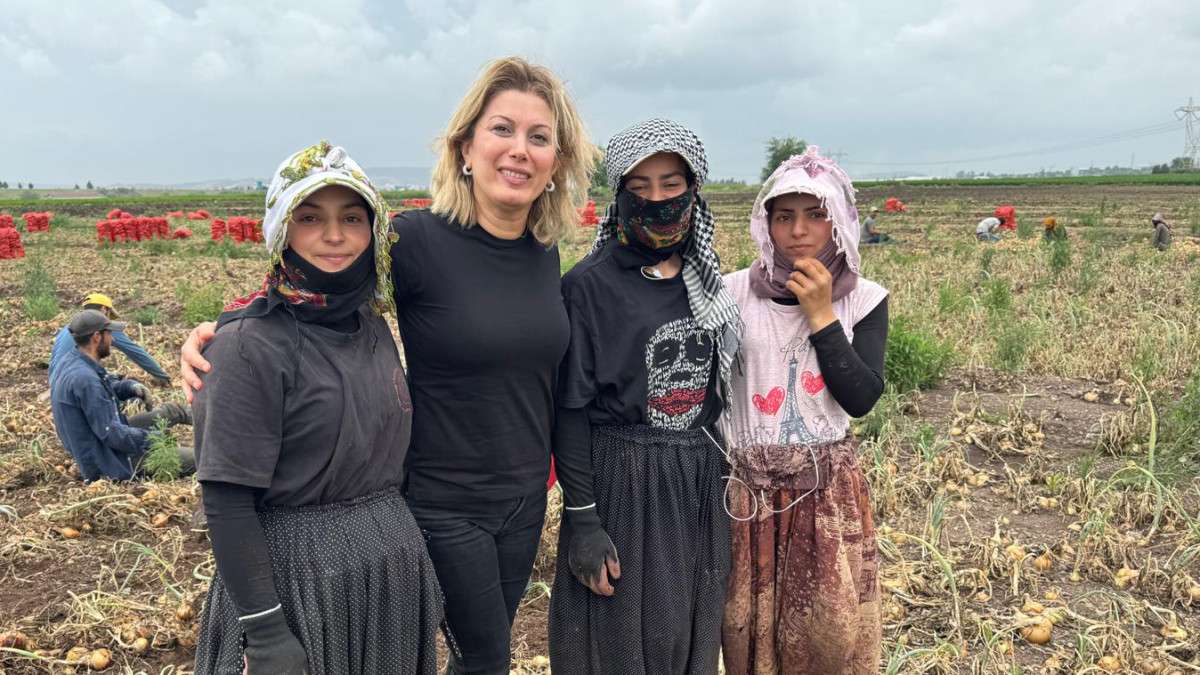 Milletvekili Kaya, soğan tarlasında!