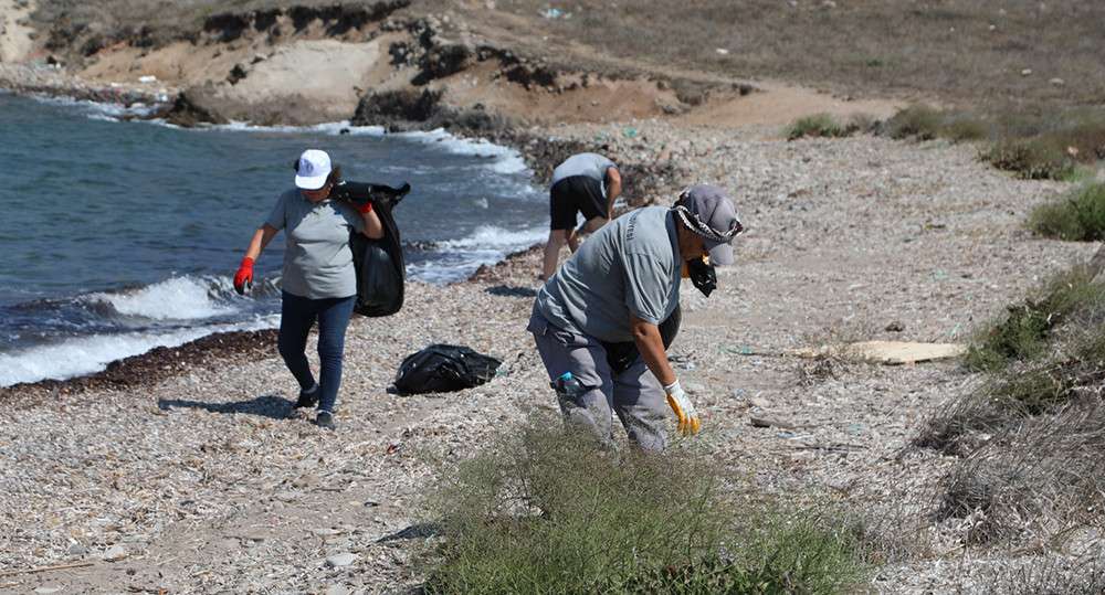 Turgutreis Çatal Ada’da Kum Zambağı Farkındalık Etkinliği!